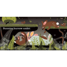 Load image into Gallery viewer, Woodland Walk - PARK STORY