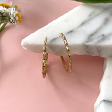 Load image into Gallery viewer, Canal Hoops - PARK STORY