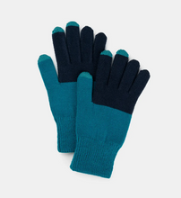 Load image into Gallery viewer, Touchscreen Gloves (multiple colors) - PARK STORY