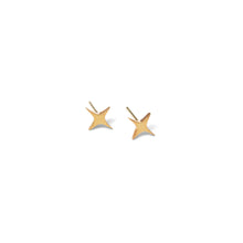 Load image into Gallery viewer, Starburst Mini Stud Earrings - PARK STORY