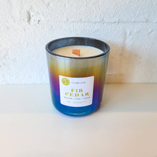 Load image into Gallery viewer, Holiday Candle Collection Kin & Care - PARK STORY