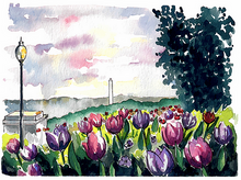 Load image into Gallery viewer, Box Set of 9 Watercolor Greeting Cards - PARK STORY