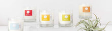 Load image into Gallery viewer, Large Candle by Pure Palette - PARK STORY