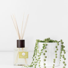 Load image into Gallery viewer, Reed Diffuser by Pure Palette - PARK STORY