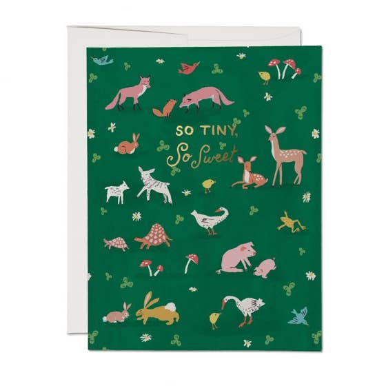 Tiny Animals Baby Greeting Card - PARK STORY