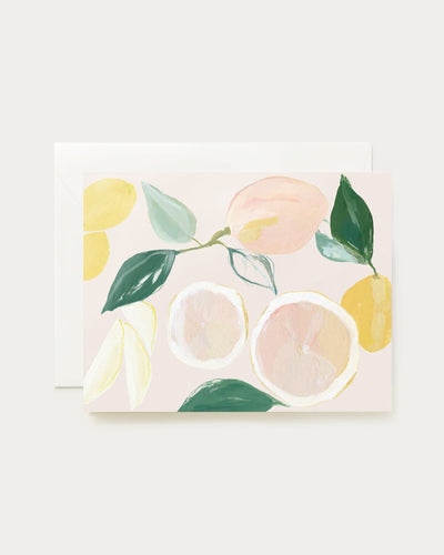 Citrus Blank Card Set (Set of 6) - PARK STORY