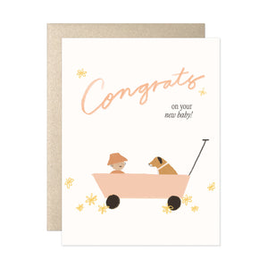 Congrats on Your New Baby Card