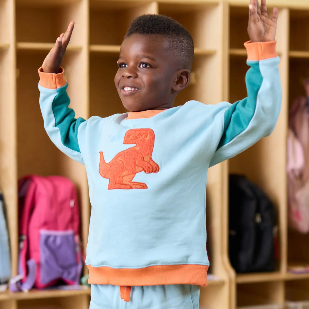 Sporty Sweatsuit Bundle in Colorblock Dinos - PARK STORY