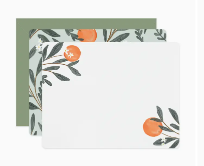 Orange Vine Flat Notes | Boxed Set of 6 - PARK STORY