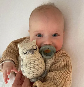 Owl Baby Rattle (Machine Washable) - PARK STORY