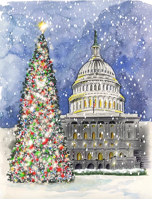 Capitol Hill Winter Greeting Card - PARK STORY