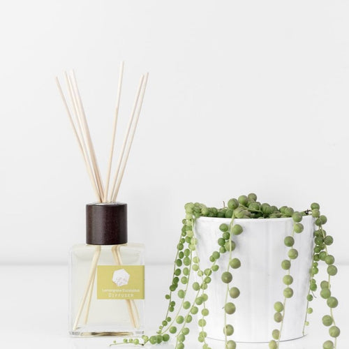 Reed Diffuser by Pure Palette - PARK STORY